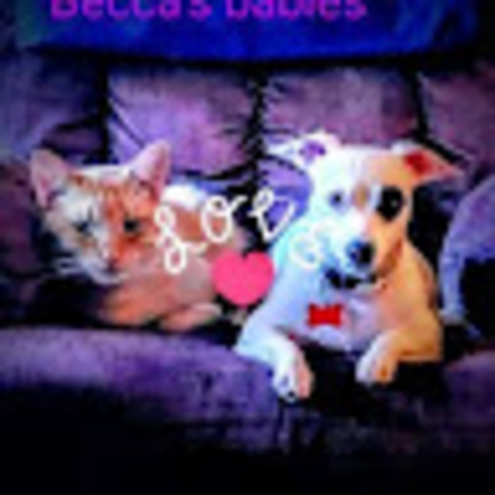 Meet your Posher, Rebecca